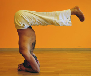 Hatha yoga a San Lazzaro con Eros Vincenti